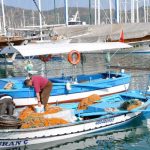 Entspannungskreuzfahrt