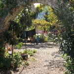 Entspannungskreuzfahrt